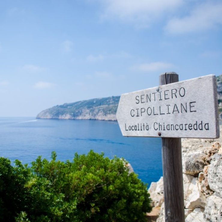 Trekking nel Capo di Leuca: Il Sentiero delle Cipolliane